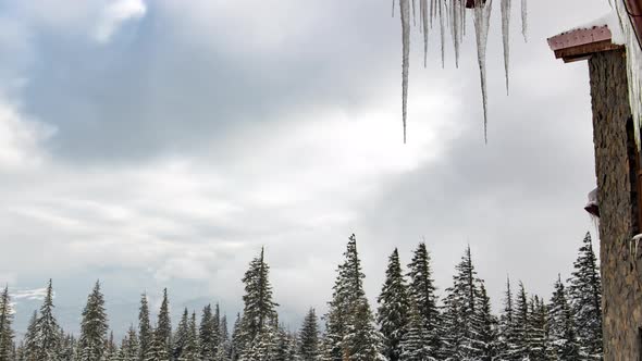 Hotel in Winter Land