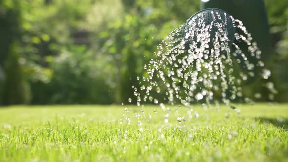 Watering in the Garden 37