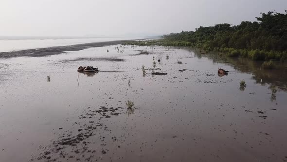 Aerial muddy soil at mangrove trees at coastal 