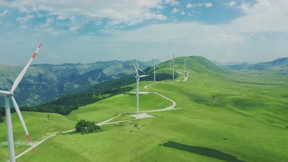 Green Meadow with Wind Turbines Generating Electricity in Mountains Montenegro