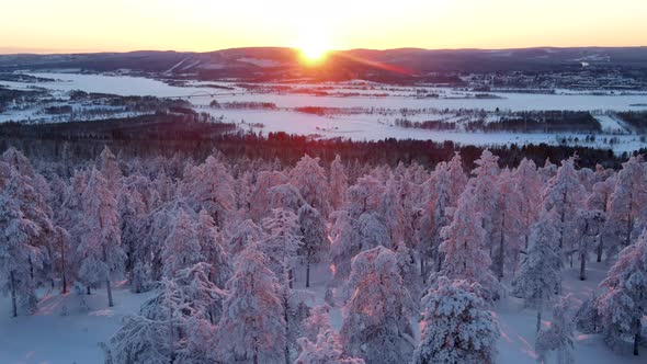 Aerial view of a forest in winter in Overtornea, Sweden.