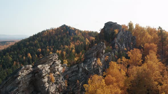 Aerial View of the Hills in the Trees a Colorful Fall