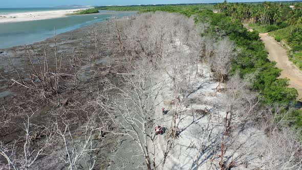 Brazilian landmark rainwater lakes and sand dunes. Jericoacoara Ceara.