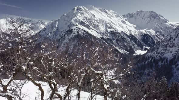 Aerial drone shot of of beautiful winter landscape with mountains, snow and sun. Tree is in the fore