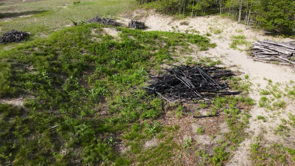 Spinning around a collected amount of burnt logs.