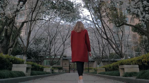 Backview of Attractive Blonde Girl in a Red Coat Walking the Sakura Alley Enjoying the Scent of
