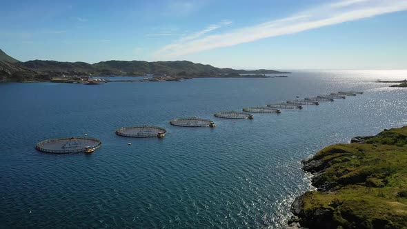 Farm Salmon Fishing in Norway