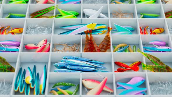 Seamless looping animation of colourful fish bites. Fishing accessories in a box