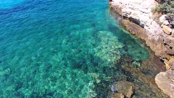 Rocky and Stony Seashore in Untouched Sea