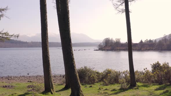 A Group of Canoeists Seen Arriving at Shore With Forests