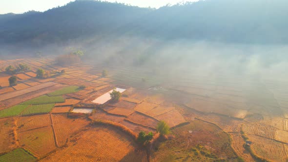 Aerial view of farmers farmland in dry season. beautiful scenery in the morning