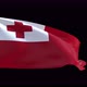 Tonga Waving Flag - VideoHive Item for Sale