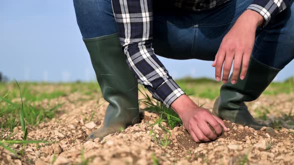 Male Hands Touching Soil on the Field