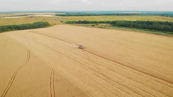 Aerial View Harvester Working in the Field. Combine Harvester Agricultural Machine Collecting Golden