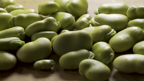 Slider shot from right to left of a close up of a pile of sweating, backlit, green fava beans.