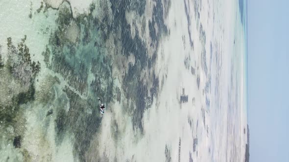 Vertical Video of Low Tide in the Ocean Near the Coast of Zanzibar Tanzania Aerial View