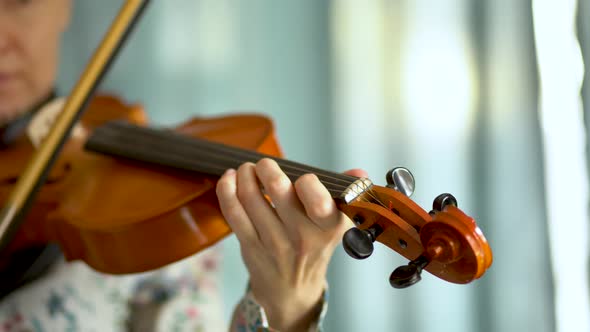 Young Woman Playing the Violin