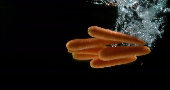 Carrots, daucus carota, Vegetables Entering Water against Black Background, Slow Motion 4k