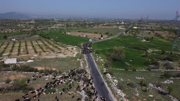 Wandering Goat Drone Highway