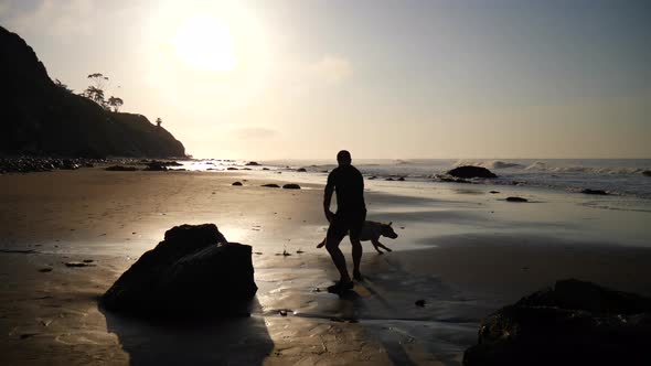 A man and his pet dog companion running around and playing together on the beach at sunrise in Santa