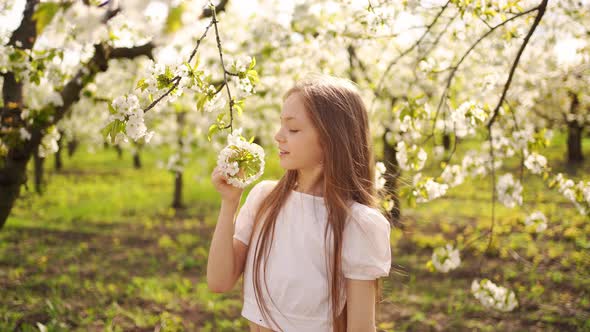 Beautiful Longhaired Teenage Girl with a Branch of a Flowering Tree in Hands