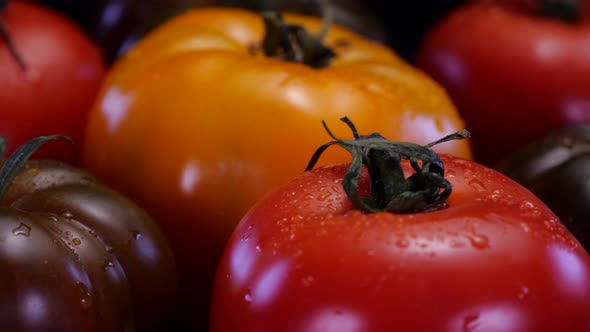 Perfect red and yellow tomatoes rotating on a black background, close up view. F