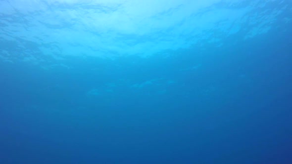 Blue Sea Water Background