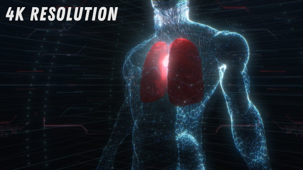 Human Lungs X-Ray Pack alt