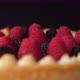 A piece of the Tasty Forest Fruit Torte twisting against a black background - VideoHive Item for Sale