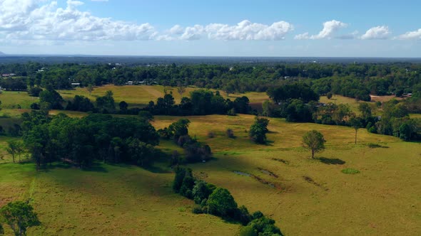 Nature Landscape With Green Fields And Trees Near Brisbane In Australia - aerial drone shot