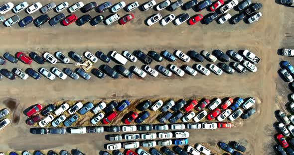 Cars terminal parked in used car auction lot on distributed a parking
