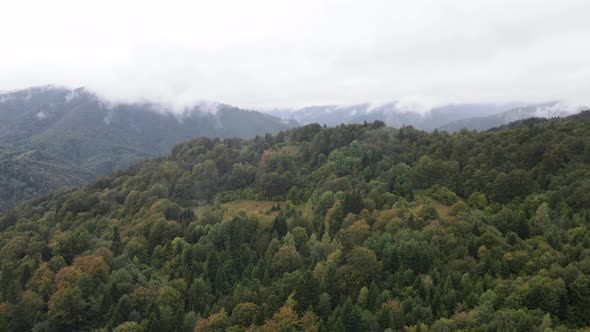 Nature of Ukraine: Carpathian Mountains Slow Motion. Aerial View