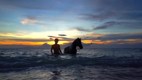 Silhouette of a Horseman with Stallion Walking Out the Wavy Ocean Water Stunning Sunset on the