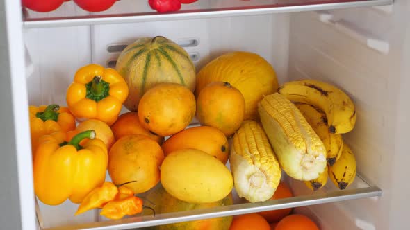 Fridge Full of Fresh Colorful Orange Fruits and Vegetables