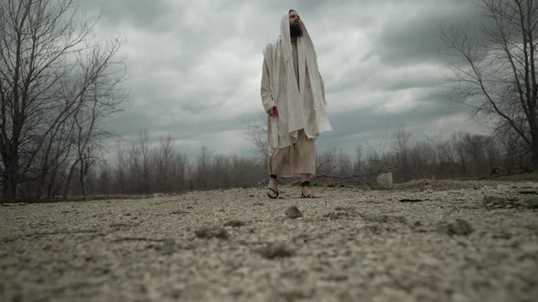 Jesus Christ In Wilderness Walking Out Of Frame