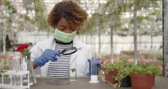 Woman Agronomist in Protective Equipment Doing Experiment in Greenhouse