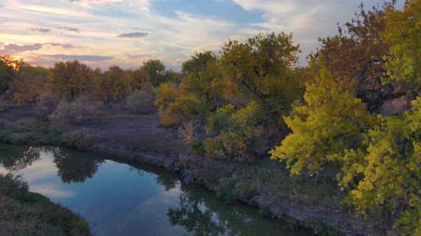 A fall utopia.  Vivid hues of orange and amber.Northern Colorado