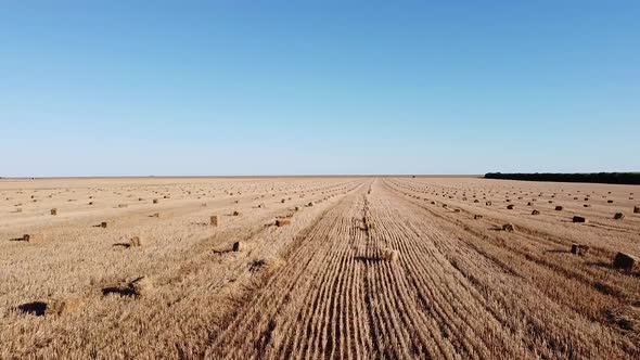 Aerial View of Many Straw Rolls in the Field After Harvesting Grain