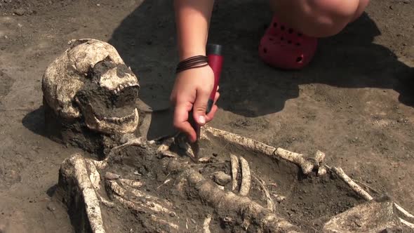 An Archeologist Is Excavating A Skeleton Of A Woman
