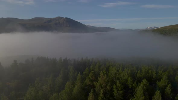 Drone flying through fog over a forest in the mountains of Norway