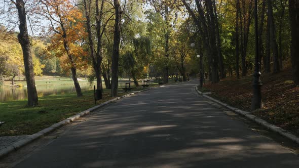 Beautiful  colors of nature in the park 3840X2160 UltraHD  footage - Tree alley by autumn in Craiova