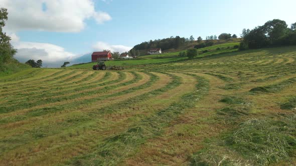 Tractor And Baler Collects Cut Fodder For Silage Production. Aerial