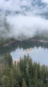 Vertical Video Mountain Lake Synevyr