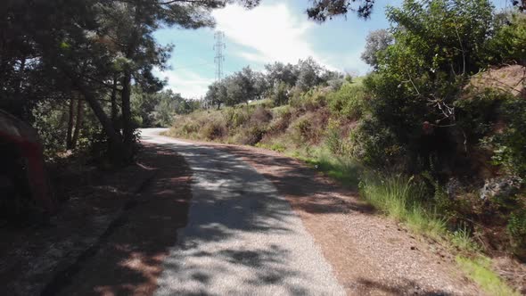 Forest mountain road