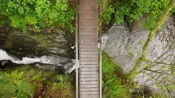 Vertical Top Down View Bridge in Rain Forest with Waterfall on Green Hills