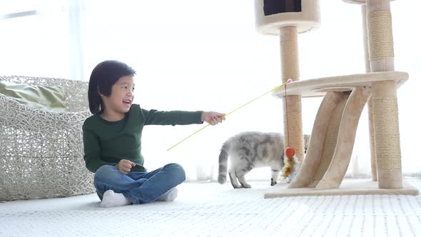 Cute Asian Child Playing With Kitten Slow Motion