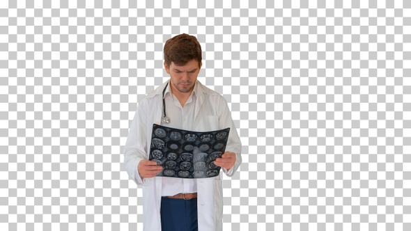 Concentrated male doctor examining computed, Alpha Channel