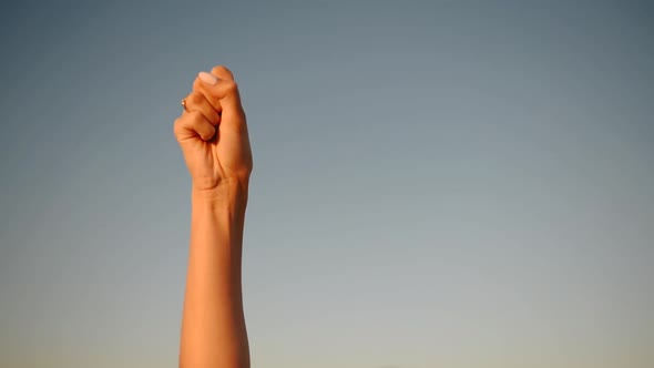 Feminist Woman Hand Clenched Into Fist Protests