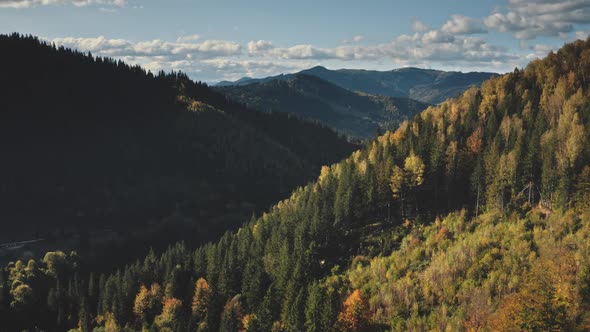 Mountain Ridge with Pine Forest Aerial