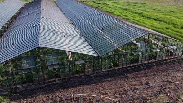 Drone Footage of Greenhouse Area in Green Field Background